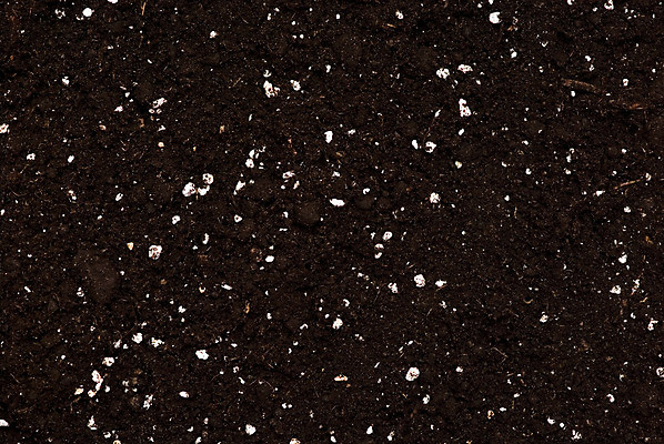 포토 JPG 해외이미지 식물 지구 백그라운드 컨셉 패턴 밭 농업 자연 표면 건조 사람없음 농장 갈색 환경 정원 흙 바위 뜨거움 거친 보호 땅 묘사 유기농 원예 질감 뿌리 먼지 지역 진흙 나쁜 그런지 땅바닥 심기 세련 해외202004 해외포토 웰빙 산업 컬러 무늬 모션 바닥 취미 돌_바위 생태계 파일형식 이미지허브