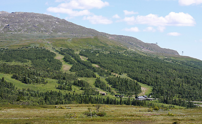 포토 JPG 해외이미지 나무 계절 여행 자국 자연 스키 산 풍경 경사 사람없음 야외 초록색 여름 봄 등산 하이킹 시골 정상 숲 언덕 오르기 알프스 절정 해외202004 해외포토 식물 유럽 컬러 모션 레저 겨울스포츠 트래킹 생태계 파일형식 이미지허브