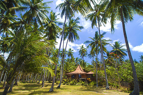 포토 JPG 해외이미지 모래 바다 섬 여행 태국 하늘 휴가 멕시코 사람없음 여름 파란색 맑음 침묵 호주 하와이 발리 인도네시아 보라카이 쿠바 세이셸 폴리네시아 몰디브 모리셔스 바하마 이국적 자메이카 터키석 파라다이스 포상금 플로리다 해외202004 해외포토 계절 아시아 컬러 돈 북아메리카 아프리카 날씨 필리핀 미국 소리 중앙아메리카 오세아니아 보석 파일형식 이미지허브