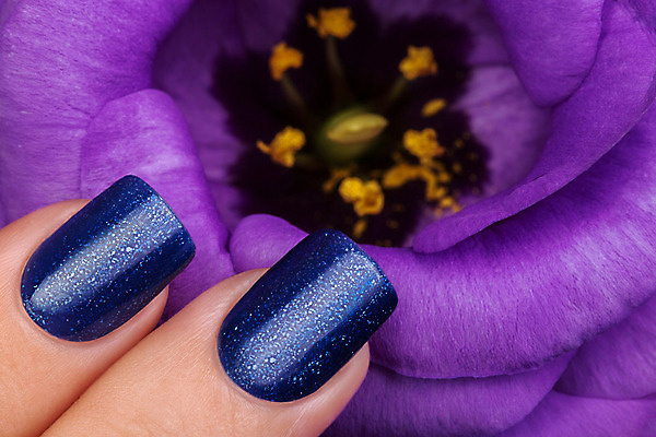 포토 JPG 해외이미지 손 꽃 손가락 휴가 미술 이벤트 사람없음 파란색 빛 유행 화장품 덮개 난초 손톱관리 손톱 아크릴 스타일 해외202004 해외포토 식물 컬러 재질 문화예술 신체부위 뷰티 뚜껑 네일아트 파일형식 이미지허브