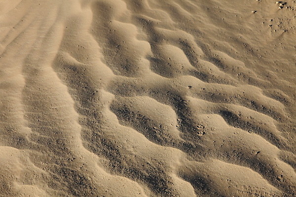 포토 JPG 해외이미지 지구 물결 모래 여행 백그라운드 패턴 오렌지 아프리카 자연 바람 추상 휴식 건조 풍경 사람없음 야외 여름 태양 여행객 평화 고요 새벽 사막 뜨거움 황무지 황금 고독 땅 모래언덕 질감 지역 모로코 사하라 아랍어 이국적 튀니지 해외202004 해외포토 자연요소 계절 감정 나라 컨셉 무늬 과일 날씨 사람 언덕 생태계 파일형식 이미지허브