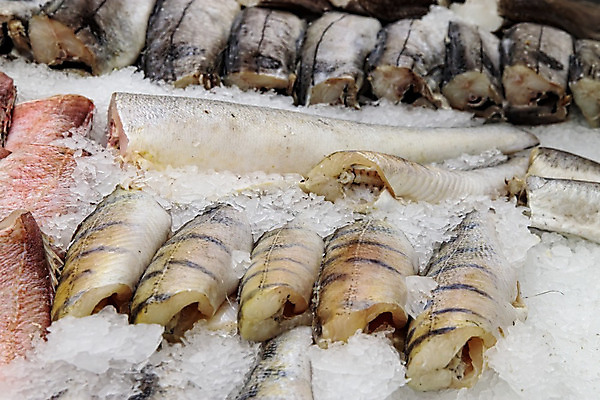 포토 JPG 해외이미지 잡화 산업 음식 바다 백그라운드 패턴 다이어트 비즈니스 재료 낚시 건강 어류 요리 사람없음 판매 세일 상점 주방 냉동 얼음 저녁식사 추위 신선 잡기 시장 지중해 해산물 무역 질감 날것 소매 슈퍼마켓 내추럴 냉동고 단백질 생식 수경재배 식료품점 해외202004 해외포토 자연요소 무늬 모션 레저 식사 수중동물 영양소 파일형식 이미지허브