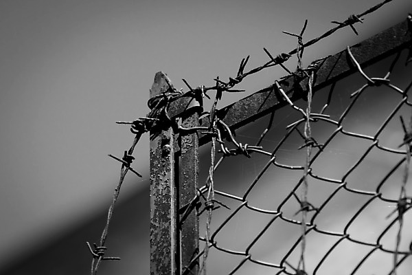 포토 JPG 해외이미지 디자인 실루엣 선 백그라운드 패턴 일러스트 추상 경비 안전 사람없음 그래픽 울타리 농장 금속 검은색 힘 흰색 경계선 바 수비 보호 위험 철 교도소 감옥 전쟁 보안 대문 날카로움 철사 철조망 스파이크 찌르기 유지 고립 고문 옛날 철강 체포 해외202004 해외포토 컬러 컨셉 무늬 농업 모션 재질 촬영기법 담장 문 경계 파일형식 이미지허브