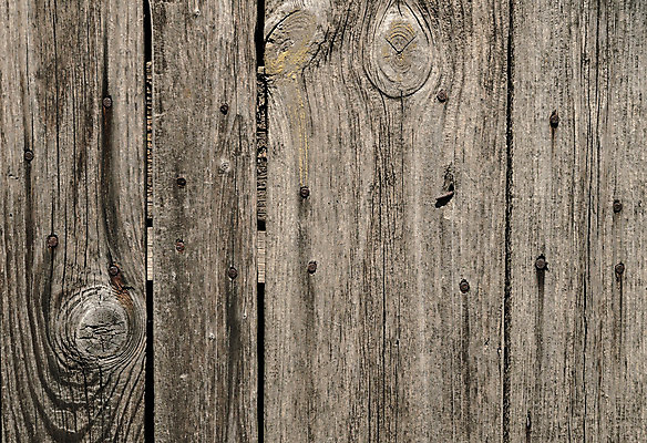 포토 JPG 해외이미지 나무 선 벽 백그라운드 표면 추상 따뜻함 사람없음 목재 햇빛 갈색 시골 소나무 판넬 얼룩 주름 플랫 널 낟알 손톱 유기농 질감 복고 매듭 목공예 내추럴 평행 그런지 수목 옛날 직진 효과 해외202004 해외포토 식물 손 웰빙 컬러 무늬 재료 태양 공예 파일형식 이미지허브