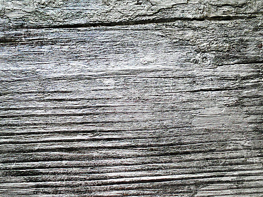 포토 JPG 해외이미지 디자인 벽 백그라운드 패턴 자연 벽지 표면 추상 프레임 건조 미술 사람없음 목재 울타리 갈색 노란색 수확 골동품 판넬 거친 닫기 떨어짐 널 낟알 질감 복고 섬유 잡동사니 내추럴 구김 그런지 수목 양피지 엘리먼트 옛날 해외202004 해외포토 나무 컬러 컨셉 무늬 농업 재료 모션 문화예술 담장 직물 생태계 파일형식 이미지허브