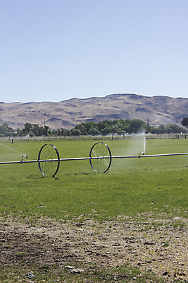 포토 JPG 해외이미지 식물 구름 포즈 잎 밭 농업 모션 하늘 바람 풍경 사람없음 야외 초록색 물 여름 농작물 농장 기계 장비 성장 농촌 신선 뜨거움 큼 환경보전 물주기 일렬 스프레이 분무기 스프링쿨러 세련 해외202004 해외포토 자연요소 계절 산업 컬러 날씨 시골 크기 사회이슈 파일형식 이미지허브