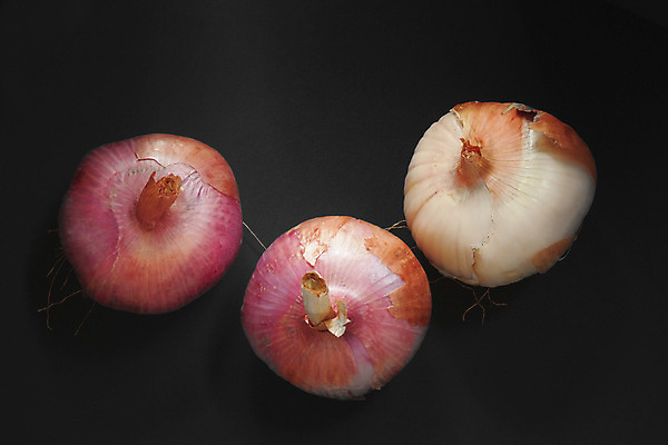 포토 JPG 해외이미지 식물 도로 조각 채소 과일 부분 사람없음 빨간색 쌓기 보라색 수확 껍질 흰색 최고 그룹 달콤 향신료 날것 슬라이스 뿌리 광택 숙성 채식주의자 비건 해외202004 해외포토 길 컬러 농업 교통시설 모션 맛 채식 향미료 파일형식 이미지허브