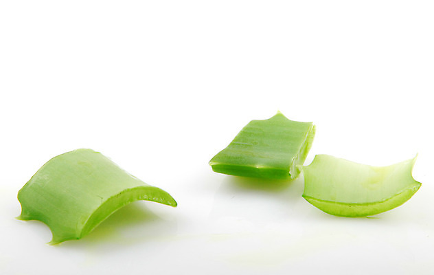 포토 JPG 해외이미지 식물 꽃 줄기 백그라운드 잎 자연 선인장 건강 사람없음 초록색 물 빛 약 우주 주스 화장품 활발 젖음 사막 성장 흰색 신선 가시 닫기 떨어짐 허브 피부 순수 묘사 피부관리 스파이크 고립 넘어짐 돌봄 알로에 억울 디테일 해외202004 해외포토 자연요소 감정 음료 컬러 컨셉 의학 모션 신체부위 뷰티 생태계 파일형식 이미지허브