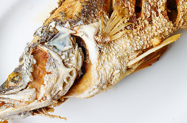 포토 JPG 해외이미지 라이프스타일 접시 음식 다이어트 채소 탁자 건강 어류 요리 사람없음 초록색 빛 식사 저녁식사 튀김 신선 닫기 먹기 유기농 설정 내추럴 점심식사 해외202004 해외포토 식기 웰빙 컬러 가구 모션 생활 수중동물 파일형식 이미지허브