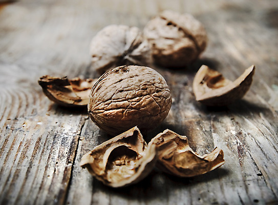 포토 JPG 해외이미지 디자인 음식 백그라운드 다이어트 과일 재료 자연 탁자 건강 미술 사람없음 목재 갈색 쌓기 견과류 수확 껍질 가을 시골 신선 오픈 그룹 닫기 맛 널 먹기 삼베 유기농 복고 알맹이 호두 내추럴 찌그러짐 그런지 깨짐 옛날 스타일 해외202004 해외포토 나무 웰빙 계절 컬러 가구 컨셉 농업 모션 문화예술 생태계 파일형식 천_직물 이미지허브