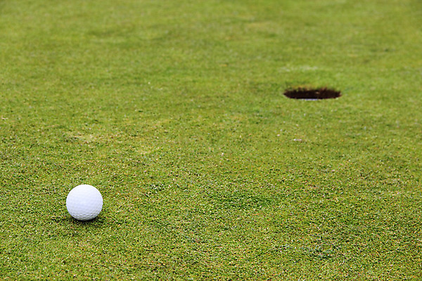 포토 JPG 해외이미지 스포츠 골프 공 자연 놀이 사람없음 컵 초록색 경쟁 공백 게임 흰색 구멍 닫기 목표 강의 연습 입술 클럽 기어 해외202004 해외포토 식기 컬러 컨셉 모션 신체부위 구기 생태계 파일형식 이미지허브