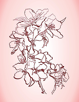 포토 JPG 해외이미지 나무 식물 손 디자인 꽃 분홍색 꽃다발 백그라운드 잎 꽃무늬 패턴 일러스트 자연 잉크 미술 사람없음 그래픽 장식 세로 연필 장미 갈색 정원 봄 수확 벚꽃 나뭇가지 그리기 사과 스케치 그림 복고 옛날 해외202004 해외포토 계절 컬러 무늬 농업 과일 모션 문화예술 학용품 신체부위 필기구 생태계 파일형식 이미지허브