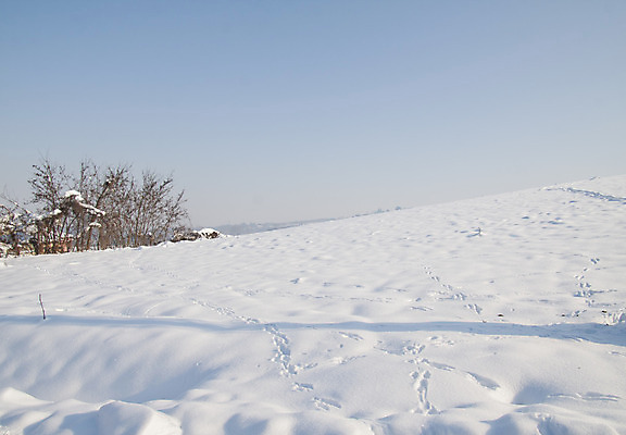 포토 JPG 해외이미지 나무 식물 계절 여행 백그라운드 크리스마스 겨울 자연 하늘 동화 날씨 휴가 조명 산 파노라마 풍경 사람없음 야외 목재 햇빛 태양 환경 냉동 얼음 추위 백발 흰색 숲 연도 서리 전나무 내추럴 산악지대 폭설 눈내림 해외202004 해외포토 자연요소 헤어스타일 기념일 컬러 재료 눈_날씨 촬영기법 자연재해 생태계 파일형식 이미지허브
