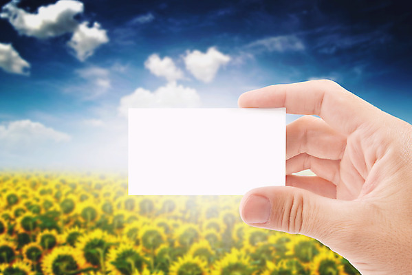 포토 JPG 해외이미지 식물 백인 손 디자인 남자 꽃 산업 밭 농업 자연 명함 아침 해바라기 한명 농작물 햇빛 농장 일출 잡기 신용카드 농부 유기농 생물학 유지 내추럴 카피스페이스 세련 해외202004 해외포토 주간 서양인 직업 1 웰빙 교육 모션 사람 신체부위 금융 태양 노을 공백 생태계 파일형식 이미지허브