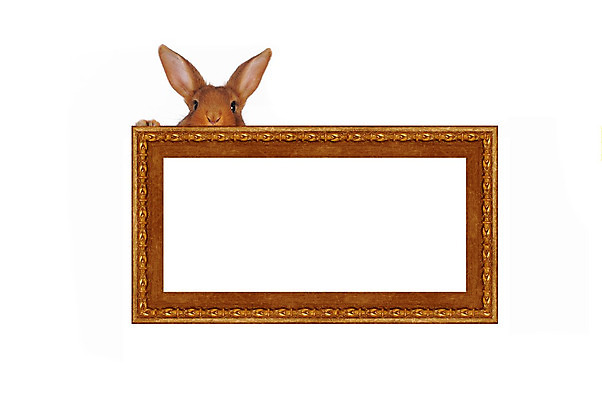 포토 JPG 해외이미지 디자인 벽 가구 백그라운드 주택 프레임 미술 사람없음 내부 목재 장식 갈색 흰색 미술관 오브젝트 그림 박물관 복고 옛날 해외202004 해외포토 나무 컬러 생활용품 재료 문화예술 건물 파일형식 이미지허브