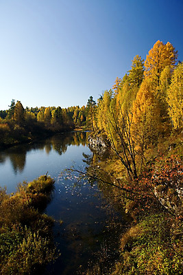 포토 JPG 해외이미지 나무 계절 낙엽 잎 자연 하늘 풍경 사람없음 야외 빨간색 초록색 물 파란색 빛 햇빛 노란색 자유 가을 황금 숲 지역 10월 해외202004 해외포토 자연요소 식물 컬러 컨셉 태양 날짜 생태계 파일형식 이미지허브