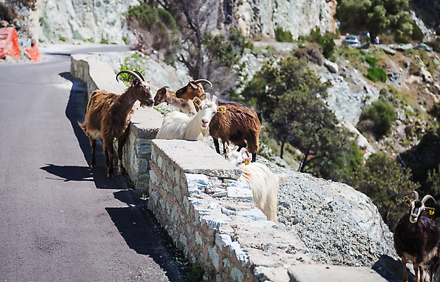 포토 JPG 해외이미지 유럽 섬 여행 자국 자연 하늘 산 풍경 사람없음 야외 초록색 파란색 걷기 계곡 프랑스 오솔길 지중해 언덕 내추럴 프랑스어 코르시카 해외202004 해외포토 문자 나라 길 바다 컬러 모션 생태계 파일형식 이미지허브