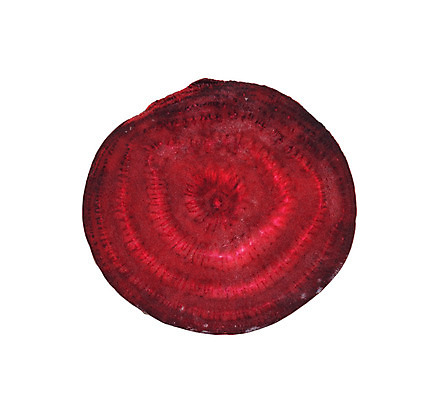 포토 JPG 해외이미지 식물 음료 음식 백그라운드 잎 농업 다이어트 채소 재료 자연 탁자 건강 요리 사람없음 빨간색 농장 상점 정원 보라색 저녁식사 샐러드 수확 흰색 신선 그룹 시장 달콤 농부 먹기 유기농 원예 날것 슬라이스 뿌리 내추럴 고립 비트 채식주의자 해외202004 해외포토 직업 웰빙 산업 컬러 가구 모션 취미 식사 맛 생태계 채식 파일형식 이미지허브