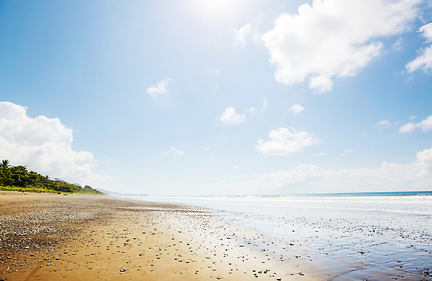 포토 JPG 해외이미지 나무 구름 공원 모래 파도 바다 여행 자연 하늘 휴가 파노라마 손바닥 풍경 사람없음 야외 물 여름 파란색 일출 맑음 미국 침묵 일몰 만 남아메리카 중앙아메리카 태평양 전국 코스타리카 파라다이스 해외202004 해외포토 자연요소 식물 손 계절 공공시설 컬러 북아메리카 날씨 촬영기법 아메리카 노을 소리 생태계 파일형식 이미지허브