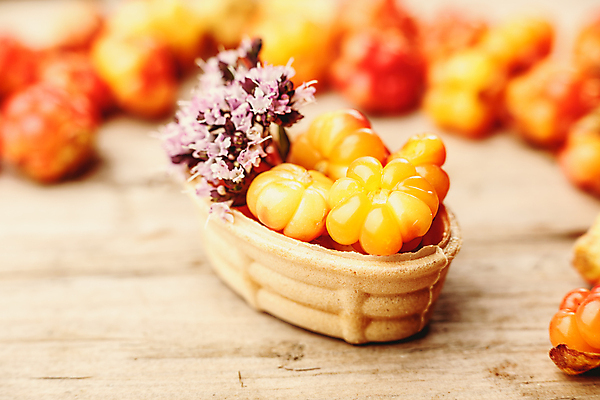 포토 JPG 해외이미지 열매 꽃 음식 자연 탁자 디저트 사람없음 목재 장식 노란색 케이크 시골 달콤 배열 유기농 북쪽 흙더미 내추럴 숙성 오레가노 타르트 많음 해외202004 해외포토 나무 식물 웰빙 빵 컬러 가구 컨셉 재료 흙 맛 방향 생태계 파이_빵 파일형식 더미 이미지허브