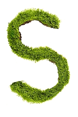 포토 JPG 해외이미지 모양 식물 아이콘 템플릿 디자인 알파벳 잎 텍스트 자연 추상 대문자 이끼 미술 사람없음 장식 초록색 세트 컬러풀 정원 흰색 숲 큼 편지 심볼 사인 S 타입 내추럴 고립 엘리먼트 레터링 해외202004 해외포토 영어 컬러 무늬 문화예술 크기 생태계 파일형식 이미지허브