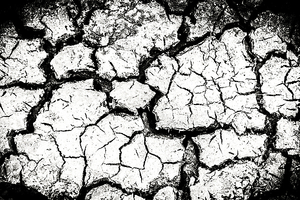 포토 JPG 해외이미지 식물 지구 조각 백그라운드 패턴 일러스트 자연 벽지 표면 날씨 추상 건조 풍경 사람없음 야외 그래픽 글로벌 환경 검은색 어둠 손상 사막 흰색 죽음 뜨거움 균열 땅 질감 찢어짐 다리찢기 내추럴 그런지 깨짐 땅바닥 재앙 지진 지질학 효과 해외202004 해외포토 교육 컬러 컨셉 무늬 모션 바닥 자연재해 생태계 파일형식 이미지허브