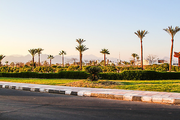 포토 JPG 해외이미지 나무 식물 아시아 여행 백그라운드 농업 자연 하늘 산 매달리기 손바닥 풍경 사람없음 초록색 햇빛 태양 농장 반사 마을 시골 남쪽 줄서기 해외202004 해외포토 자연요소 손 나라 산업 컬러 모션 방향 생태계 파일형식 이미지허브