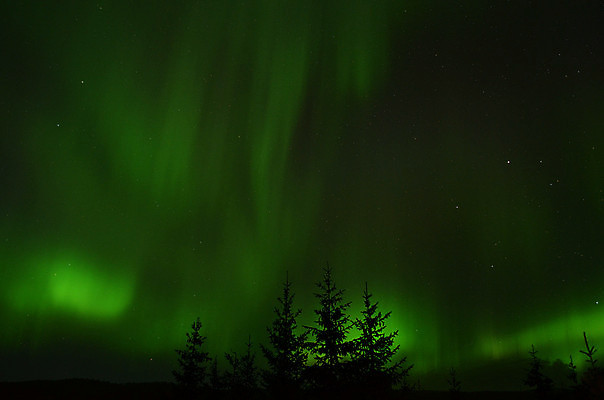 포토 JPG 해외이미지 나무 별 자연 하늘 전등 산 노르웨이 풍경 사람없음 야외 초록색 파란색 빛 우주 어둠 활발 가을 원형 영혼 분위기 입자 야간 북극 문학 천문학 북쪽 마법 빛망울 오로라 내추럴 광 현상 가문비나무 더스트파티클 해외202004 해외포토 자연요소 도형 식물 계절 교육 유럽 컬러 컨셉 자연현상 조명 극지방 방향 생태계 파일형식 이미지허브