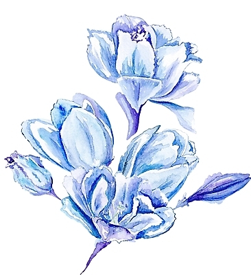 JPG 해외이미지 식물 꽃 꽃다발 일러스트 붓터치 수채화 사람없음 튤립 모서리 그림 번짐 비네팅 스크랩북 해외202004 해외일러스트 촬영기법 파일형식 효과 이미지허브