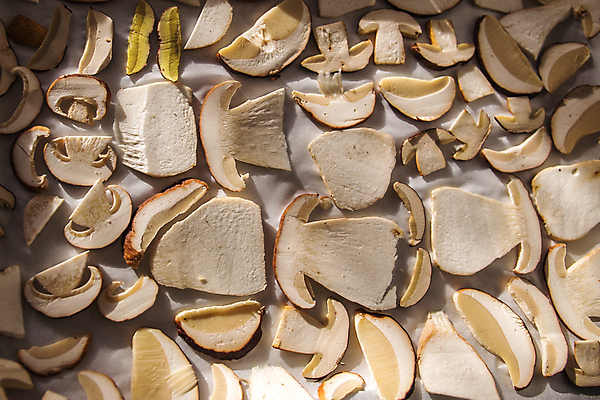 포토 JPG 해외이미지 식물 유럽 음식 백그라운드 신체 채소 재료 자연 건조 건강 동양인 사람없음 약 갈색 주방 중국 버섯 수확 가을 흰색 신선 그룹 자르기 먹기 허브 향신료 유기농 슬라이스 성분 흙더미 고립 곰팡이 그물버섯 식용 식품점 채식주의자 해외202004 해외포토 웰빙 계절 나라 아시아 컬러 농업 의학 모션 인종 상점 흙 생태계 채식 향미료 파일형식 더미 이미지허브