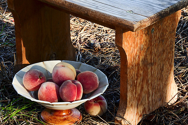 포토 JPG 해외이미지 라이프스타일 음식 벤치 과일 자연 디저트 건강 사람없음 목재 빨간색 노란색 정원 꽃병 신선 그룹 달콤 먹기 상쾌 유기농 복고 날것 복숭아 내추럴 숙성 옛날 정물화 채식주의자 해외202004 해외포토 나무 웰빙 꽃 감정 컬러 의자 재료 모션 생활 맛 그림 생태계 채식 파일형식 이미지허브