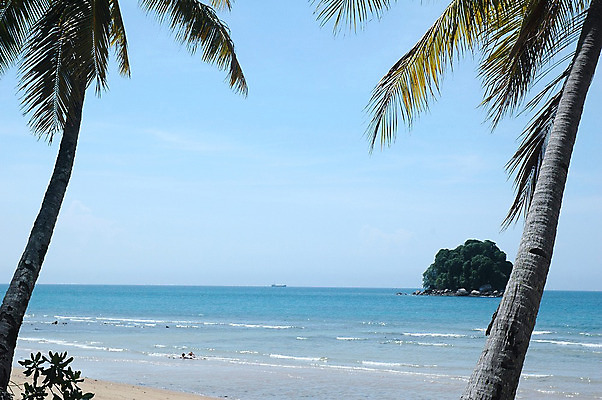 포토 JPG 해외이미지 나무 모래 바다 휴가 휴식 열대 손바닥 풍경 사람없음 물 여름 파란색 평화 고요 크리스탈 암초 코코넛 이국적 터키석 수평선 해외202004 해외포토 자연요소 식물 손 계절 컬러 컨셉 과일 광석 보석 파일형식 이미지허브