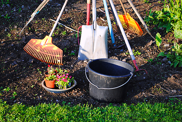 포토 JPG 해외이미지 꽃 농업 자연 잔디 사람없음 초록색 정원 장비 도구 업무 작업 삽 원예 내추럴 갈퀴 생태학 해외202004 해외포토 식물 교육 산업 컬러 취미 생태계 파일형식 이미지허브