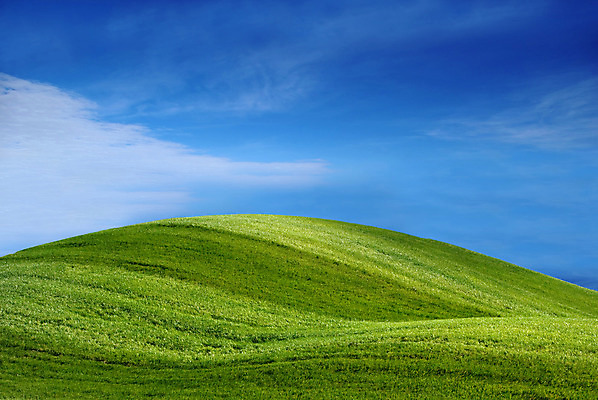 포토 JPG 해외이미지 스포츠 백그라운드 밭 농업 골프 자연 하늘 휴식 풍경 잔디 사람없음 야외 초록색 여름 파란색 농장 맑음 봄 고급 해외202004 해외포토 식물 계절 산업 컬러 컨셉 날씨 구기 생태계 파일형식 이미지허브