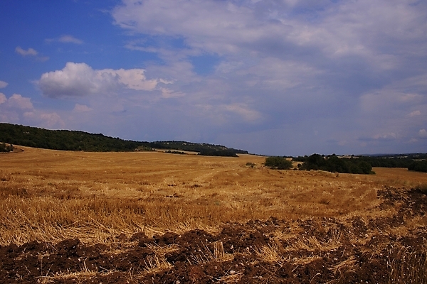 포토 JPG 해외이미지 구름 밭 농업 자연 하늘 바람 풍경 사람없음 야외 초록색 여름 파란색 농장 농경지 평화 맑음 수확 흰색 시골 큼 엽서 내추럴 밭일 수평선 목가 해외202004 해외포토 자연요소 계절 산업 컬러 컨셉 날씨 크기 편지 생태계 파일형식 이미지허브