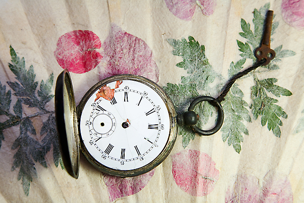 포토 JPG 해외이미지 종이 시계 분홍색 백그라운드 잎 사람없음 초록색 금속 수확 골동품 흰색 기구 시간 클래식 우아함 은색 주머니 수집 손목시계 오브젝트 복고 과거 아날로그 정비공 타이머 마감 분 옛날 핸드메이드 해외202004 해외포토 식물 컬러 컨셉 농업 장신구 재질 기술자 파일형식 이미지허브