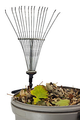 포토 JPG 해외이미지 잎 건조 통 사람없음 가로 회색 가을 폐기물 컨테이너 플라스틱 양동이 갈퀴 카피스페이스 해외202004 해외포토 식물 계절 산업 컬러 재질 공백 쓰레기 파일형식 이미지허브