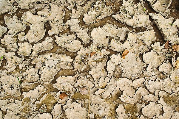 포토 JPG 해외이미지 지구 모래 백그라운드 패턴 자연 표면 건조 사람없음 글로벌 갈색 환경 흙 뜨거움 거친 황무지 균열 브레이크 땅 눈물 묘사 부식 질감 먼지 점토 지역 가뭄 다리찢기 깨짐 땅바닥 생태학 지리 지질학 해외202004 해외포토 교육 감정 컬러 컨셉 무늬 모션 날씨 바닥 생태계 파일형식 이미지허브