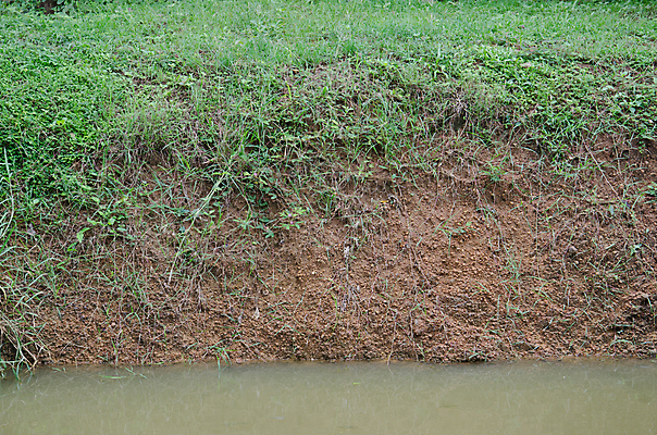포토 JPG 해외이미지 식물 지구 모래 벽 백그라운드 십자가 패턴 밭 오렌지 부분 자연 표면 추상 건조 사람없음 야외 가로 빨간색 초록색 물 강 갈색 환경 골짜기 흙 회색 껍질 거친 땅 아래 질감 운하 먼지 점토 진흙 지하 내추럴 깨짐 땅바닥 지질학 막 해외202004 해외포토 자연요소 교육 컬러 컨셉 무늬 농업 과일 바닥 방향 생태계 위치 파일형식 이미지허브