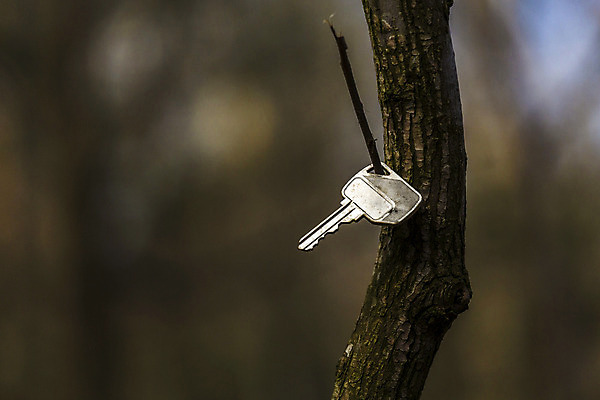 포토 JPG 해외이미지 나무 공원 컨셉 자연 열쇠 아이디어 사람없음 야외 목재 초록색 파란색 갈색 자전거 나뭇가지 소프트포커스 숲 버리기 보안 보안장치 해외202004 해외포토 식물 공공시설 컬러 재료 모션 촬영기법 안전 바이크 장비 생태계 파일형식 이미지허브