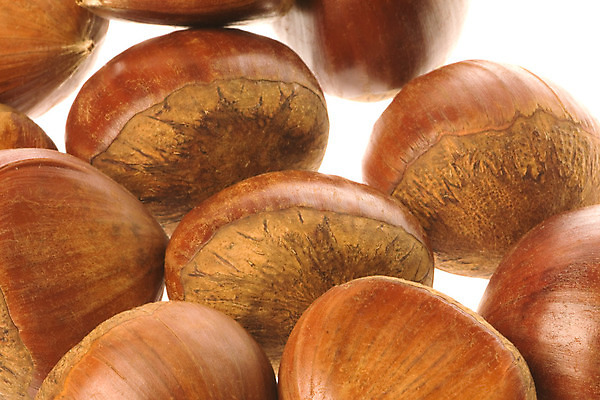 포토 JPG 해외이미지 음식 농업 다이어트 채소 자연 건강 요리 씨앗 사람없음 갈색 견과류 신선 닫기 맛 먹기 묘사 날것 내추럴 고립 식용 해외202004 해외포토 식물 산업 컬러 컨셉 모션 생태계 파일형식 이미지허브