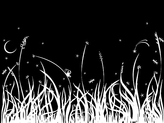 포토 JPG 해외이미지 디자인 별 나비 백그라운드 흑백 사람없음 검은색 달 흰색 야간 뼈대 비네팅 해외202004 해외포토 자연요소 컬러 곤충 촬영기법 파일형식 이미지허브