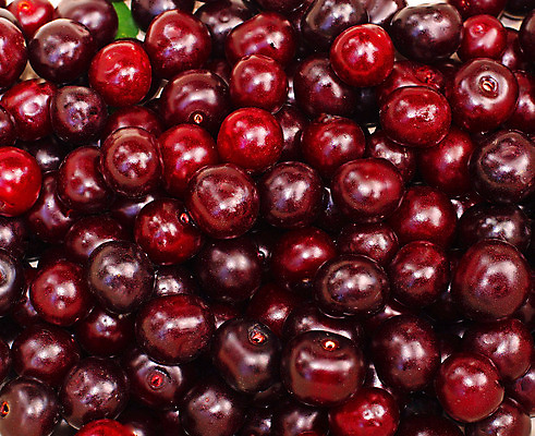 포토 JPG 해외이미지 디자인 음식 백그라운드 과일 자연 사람없음 가로 빨간색 초록색 여름 정원 신선 체리 숙성 많음 해외202004 해외포토 계절 컬러 컨셉 생태계 파일형식 이미지허브