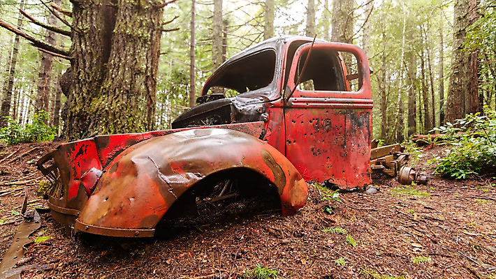 포토 JPG 해외이미지 나무 교통시설 자동차 자연 사람없음 야외 초록색 햇빛 태양 금속 손상 수확 골동품 시골 바퀴 클래식 폐기물 숲 버리기 부식 복고 짐차 깨짐 방치 옛날 자동 철강 해외202004 해외포토 자연요소 식물 육상교통 컬러 교통 컨셉 농업 모션 재질 쓰레기 시설 생태계 파일형식 이미지허브