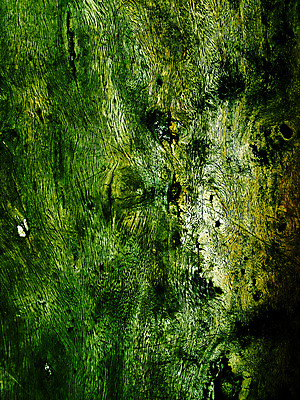 포토 JPG 해외이미지 나무 식물 디자인 벽 백그라운드 패턴 자연 벽지 표면 추상 바닥 프레임 미술 사람없음 목재 빨간색 초록색 갈색 어둠 줄무늬 수확 소나무 판넬 거친 널 낟알 묘사 질감 복고 잡동사니 정맥 내추럴 그런지 옛날 해외202004 해외포토 컬러 무늬 농업 재료 문화예술 생태계 혈관 파일형식 이미지허브