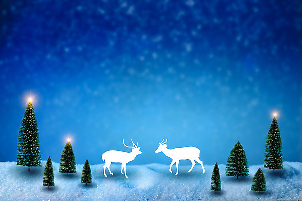 포토 JPG 해외이미지 나무 디자인 계절 행복 조각 백그라운드 크리스마스 겨울 일러스트 자연 벽지 하늘 날씨 휴가 불꽃 새로움 풍경 사람없음 야외 장식 파란색 빛 얼음 추위 흰색 축하 소나무 신용카드 눈송이 숲 12월 연도 서리 엽서 장면 공상 상록수 마법 전나무 눈보라 제설기 폭설 눈내림 해외202004 해외포토 자연요소 식물 기념일 감정 컬러 컨셉 불 눈_날씨 금융 날짜 자연재해 편지 생태계 제설 파일형식 이미지허브