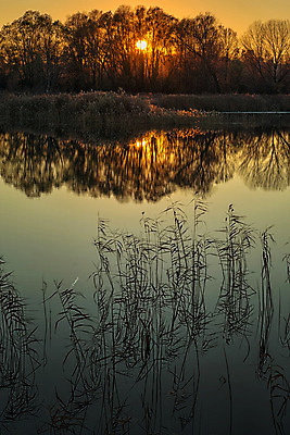 포토 JPG 해외이미지 호수 겨울 자연 사람없음 물 태양 반사 황혼 일몰 이탈리아 새벽 거울 해외202004 해외포토 자연요소 계절 유럽 노을 생태계 파일형식 이미지허브