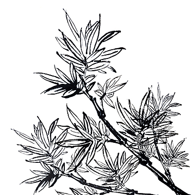 JPG 해외이미지 일러스트 붓터치 수채화 미술 사람없음 나뭇가지 먹 대나무 동양화 그림 번짐 해외202004 해외일러스트 나무 서예 문화예술 파일형식 효과 이미지허브