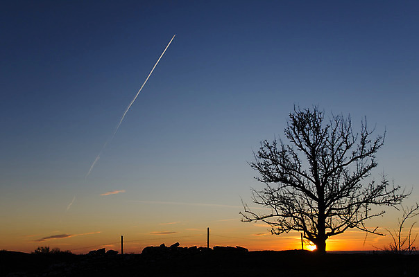 포토 JPG 해외이미지 나무 실루엣 여행 백그라운드 밭 오렌지 자연 벽지 하늘 돌담 스웨덴 그림자 풍경 사람없음 야외 파란색 울타리 컬러풀 농장 우주 일출 황혼 일몰 새벽 나뭇가지 시골 수평선 해외202004 해외포토 자연요소 식물 컬러 농업 과일 촬영기법 북유럽 담장 노을 돌_바위 생태계 파일형식 이미지허브