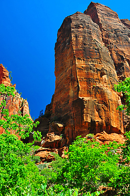 포토 JPG 해외이미지 공원 도로 여행 자연 하늘 휴가 파노라마 풍경 사람없음 빨간색 세로 파란색 여행객 평화 탑 골짜기 계곡 미국 침묵 바위 황무지 엽서 사암 시온산 전국 절정 지질학 해외202004 해외포토 건축물 공공시설 교육 길 컬러 컨셉 북아메리카 교통시설 촬영기법 사람 소리 돌_바위 편지 생태계 파일형식 이미지허브